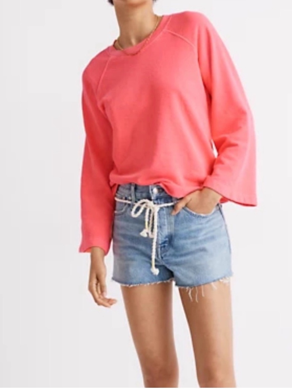 Madewell Terry Raglan sweatshirt